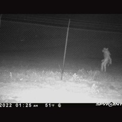 the unidentified amarillo object (original mix)