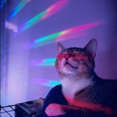 Caturdays on High Vibes: Funky Tech Mix! 3-22-24