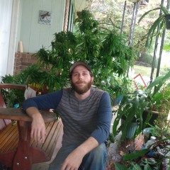 Shaggie D - Mace Windu