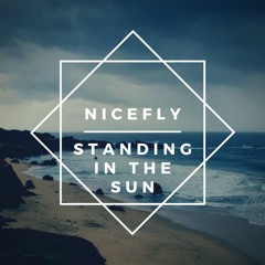 Nicefly - Standing In The Sun