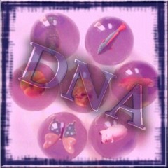 DNA & DAN