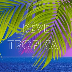 DJ D.A.M.S.77 DICE RÊVE TROPICAL 2025