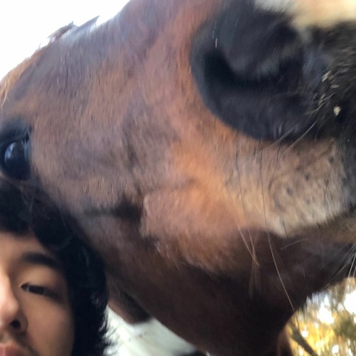 Not on The Bench (prod. OC + Julian Taylor)