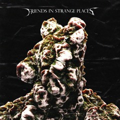 FRIENDS IN STRANGE PLACES (PRELUDE) [PROD. VEINN]