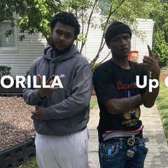 TGE GORILLA - Up On Em