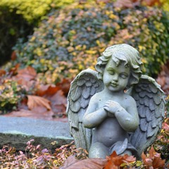 The Cord by Amy Merrick