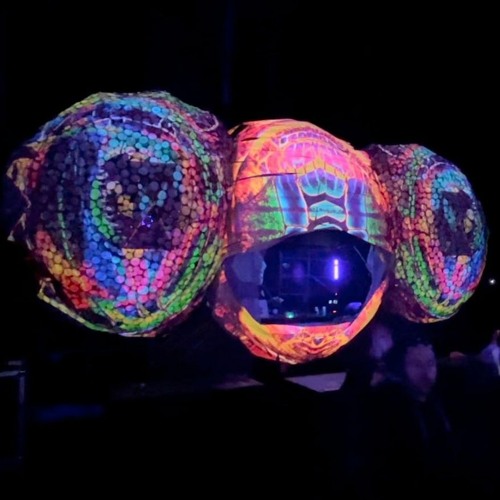 Wavelength LIVE @ Khumeia Festival - 2023