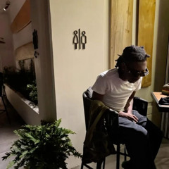 protect - last of us