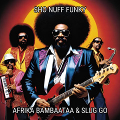 AFRIKA BAMBAATTAA