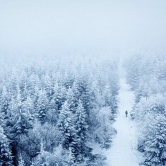 Melancholic view into a winter landscape