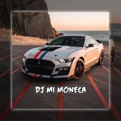 Mi moneca