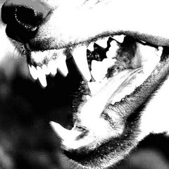 cCOLD S. (prod. akkiru1 r3versme) [feat. Deadboi.Walking]