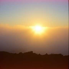 Mist and Shadows