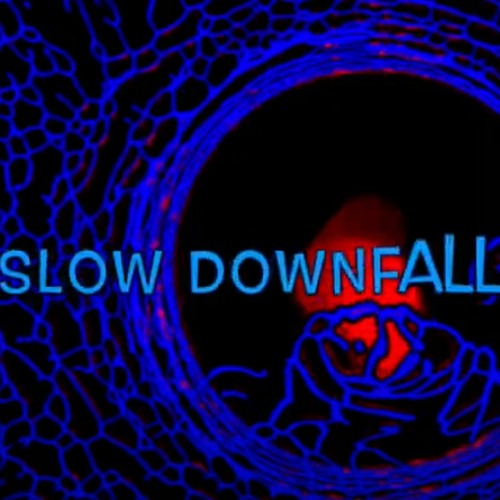 Slow DownFall $oundMotive !