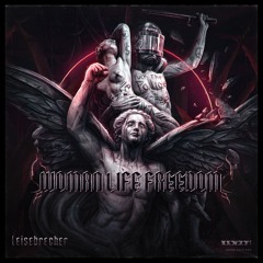 PREMIERE - LEISEBRECHER - Freedom (gestaltwandler Remix)[SNT04]