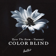 Rave The Storm, Toutounji - Color Blind
