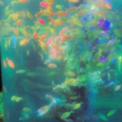 underwater