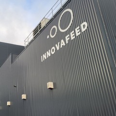 Innovafeed veut percer sur le marché des farines d’insectes en robotisant sa production
