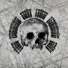 vøhrm - Do Hallucinations Have Ponderations