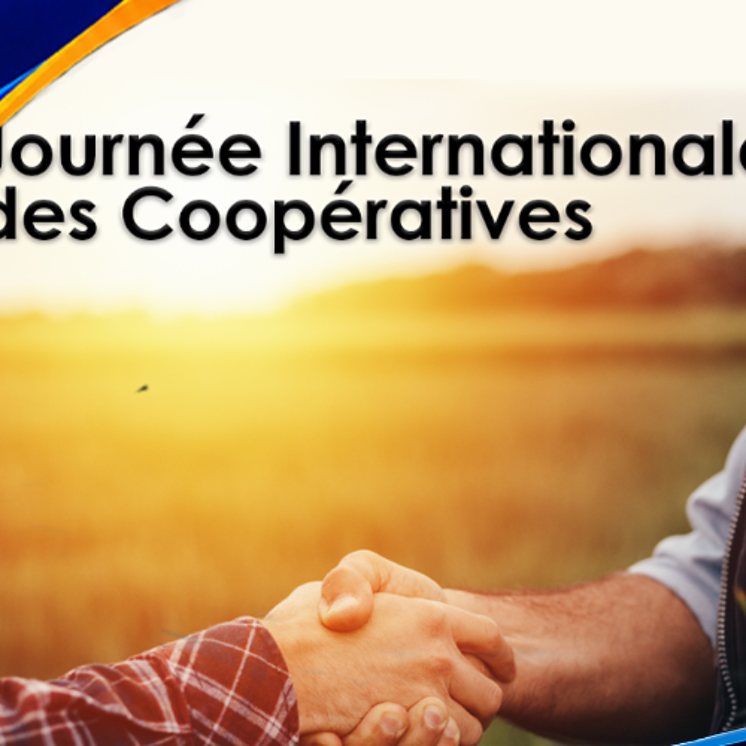 Journée internationale des coopératives : Mukesh Biranjia appelle à une modernisation urgente du secteur