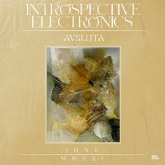 Introspective Electronics w/ Avsluta x Netil Radio | June 21