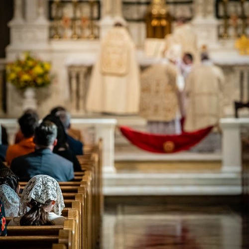 Stream episode "Active Participation": What It Means and Why the Latin Mass  Better Supports It by Peter Kwasniewski podcast | Listen online for free on  SoundCloud