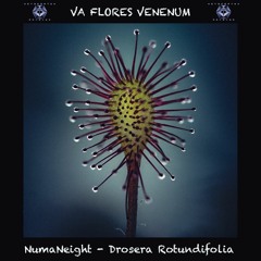 6. NumaNeith - Drosera Rotundifolia (196 BPM) VA Flores Venenum - Metacortex Records