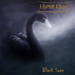 Black Swan (feat. Tommi Salmela)