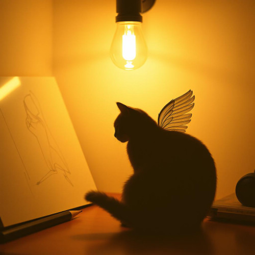 The lightness of the day (Lekkość  dnia in Polish) Renata Stefańska-Klar