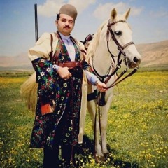 farshid hekmati