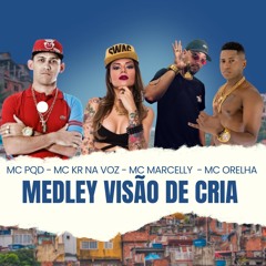 MEDLEY VISÃO DE CRIA / MC PQD - KR NA VOZ- MC MARCELLY - MC ORELHA