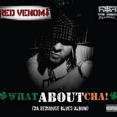 REDVENOM  .THE REAL VENOM  (YA KNOW WHO) FEAT SHINE MC,DJ PRESSURE AND ODDBALL.