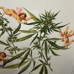 MVK - EI AMOR (VOZ GRAVE) 🚫🐫🚨💕