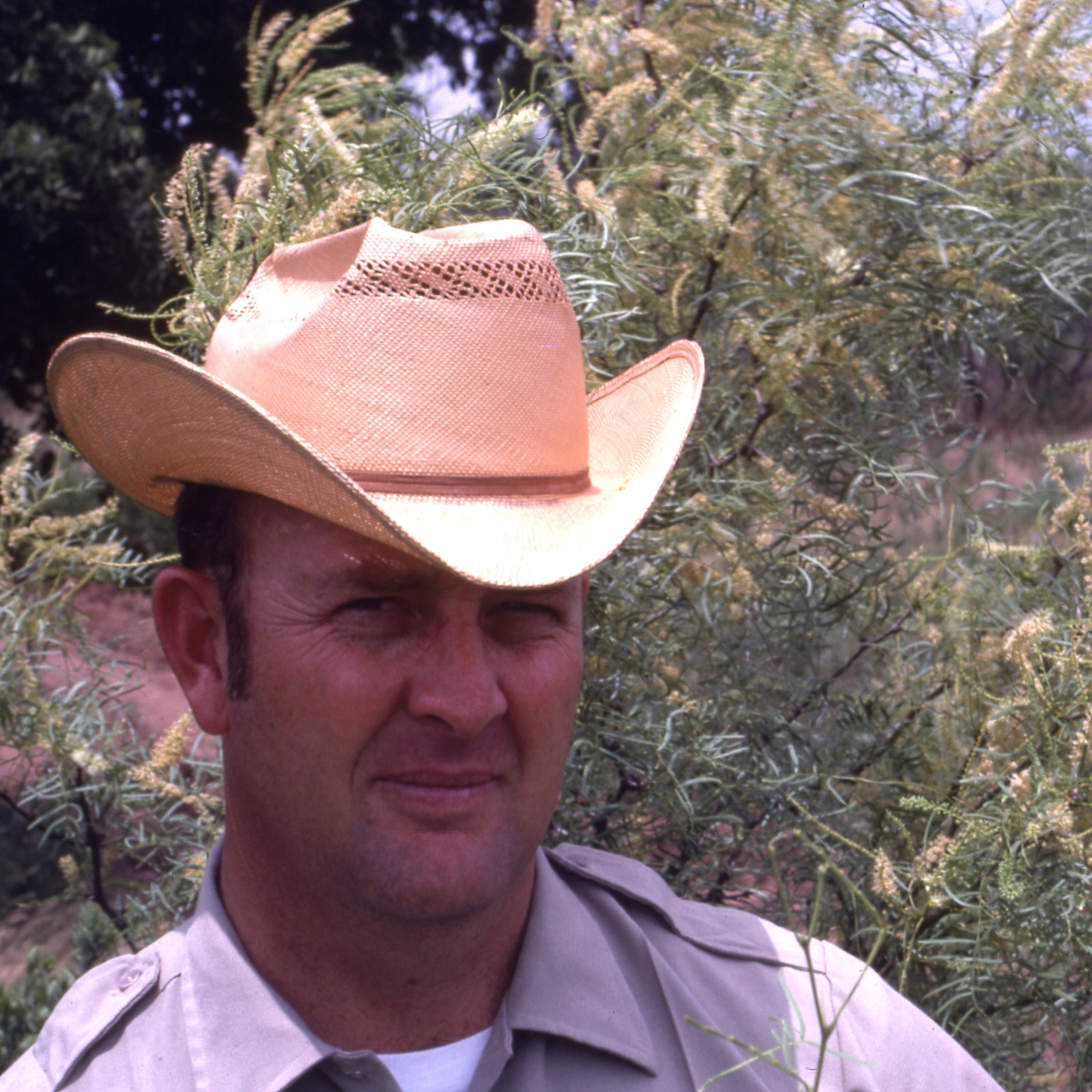 Dr. Dale on Quail