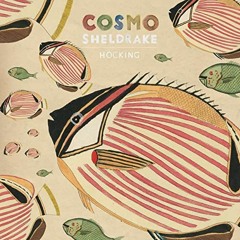 Cosmo Sheldrake  Come Along Cover Español Latino By Kiera Chan