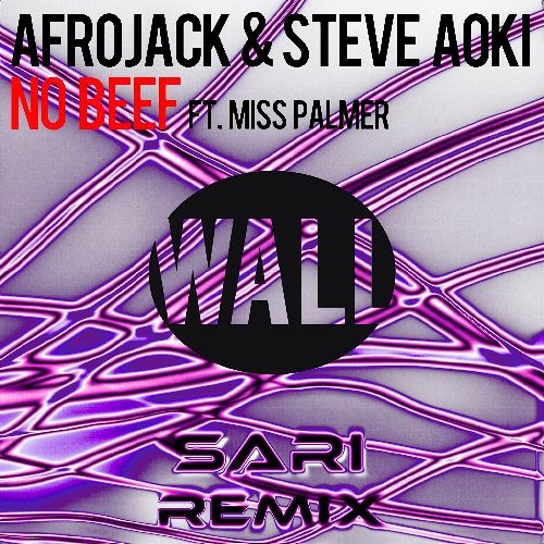 Afrojack & Steve Aoki - No Beef (Sari Remix)
