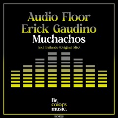 Audio Floor, Erick Gaudino - Muchachos (Original Mix)