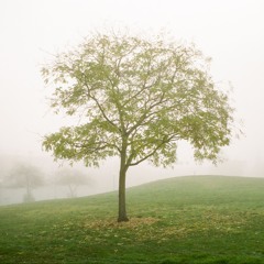 the great storm