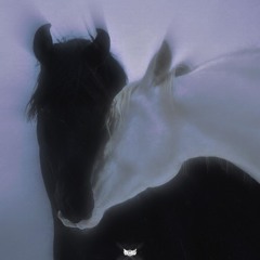 someone like me