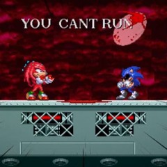 Survival of The Fittest (Knuckles' Solo Escape) Sonic.EXE: The Disaster | LOS SERIES