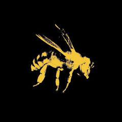 [FREE] Jungle Jack x Boom Bap Type Beat - "Stinger"