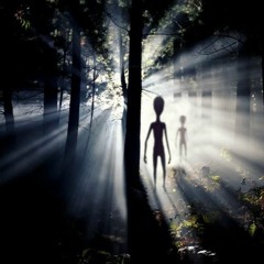 Alien Forest [155 bpm]