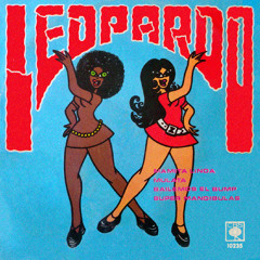 Bailemos El Bump + 3 - Leopardo