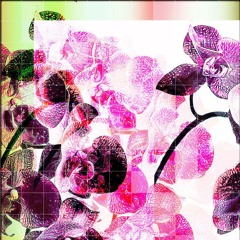 ILYM4T - DIRTY DIANA