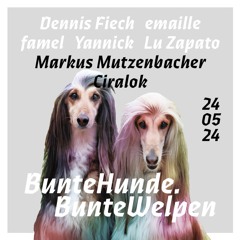 @Dornheim 24.05.2024 | Bunte Hunde, bunte Welpen