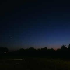 chris stussy unreleased