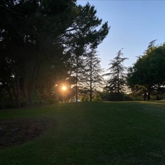 pinkpantheress - angel, guitar cover