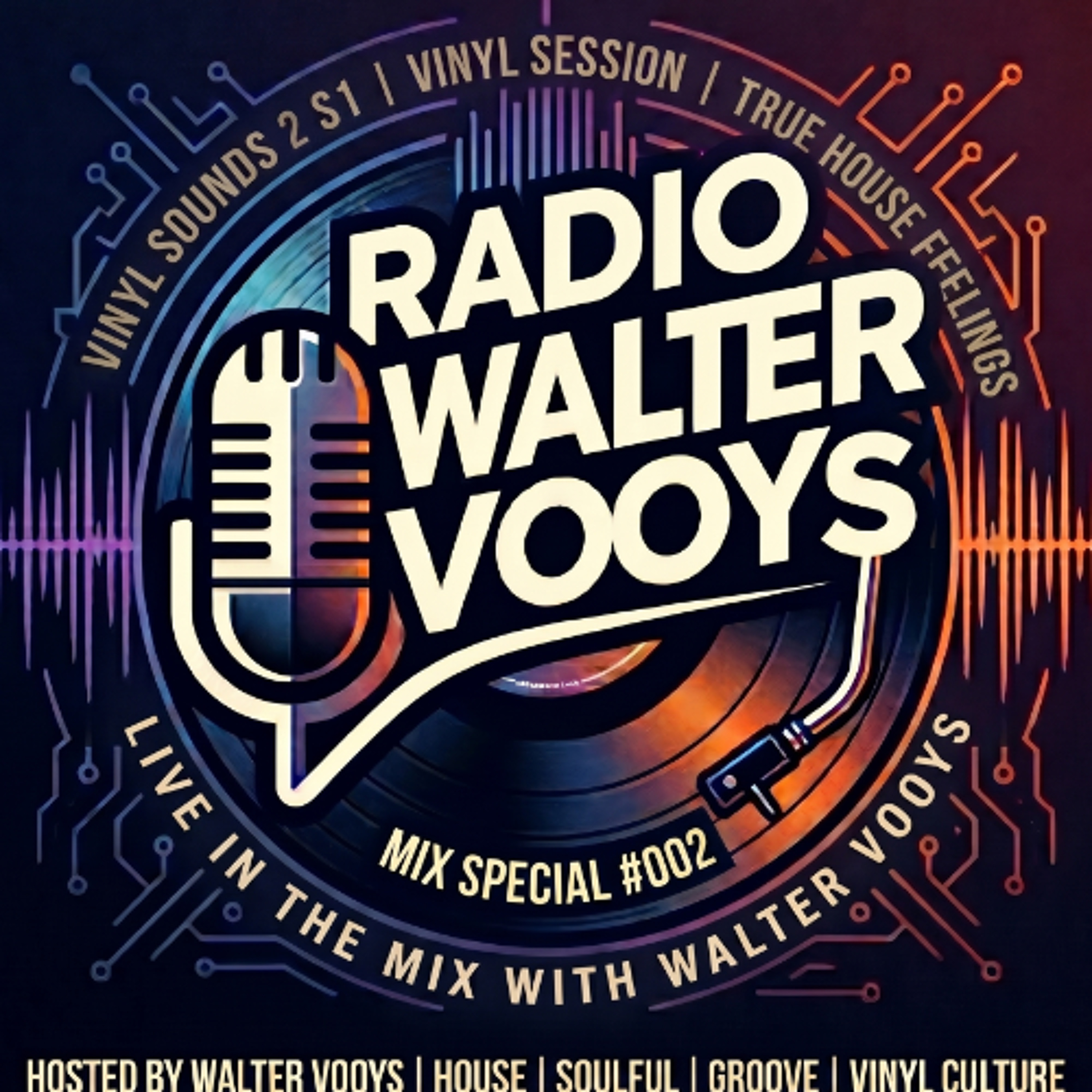 Walter Vooys Vinyl Session Mei 2026 episode artwork