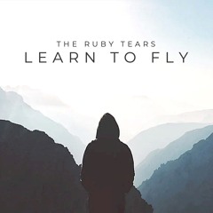 Learn To Fly