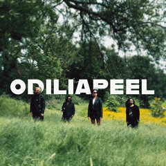 Odiliapeel